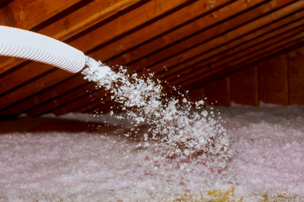 Best Affordable Insulation Services  in Spring Valley, IL