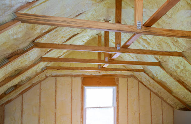 Best Residential Insulation Services  in Spring Valley, IL