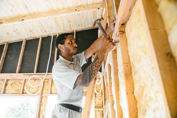 Best Insulation for New Construction  in Spring Valley, IL