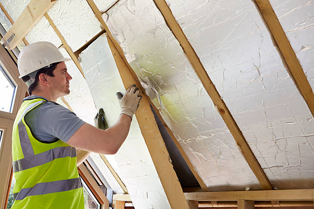 Best Spray Foam Insulation  in Spring Valley, IL