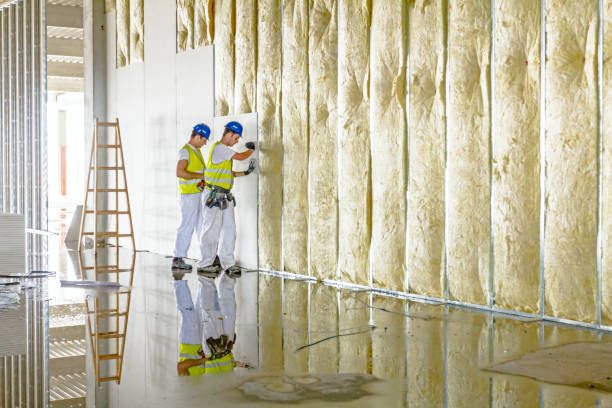 Best Energy-efficient Insulation  in Spring Valley, IL